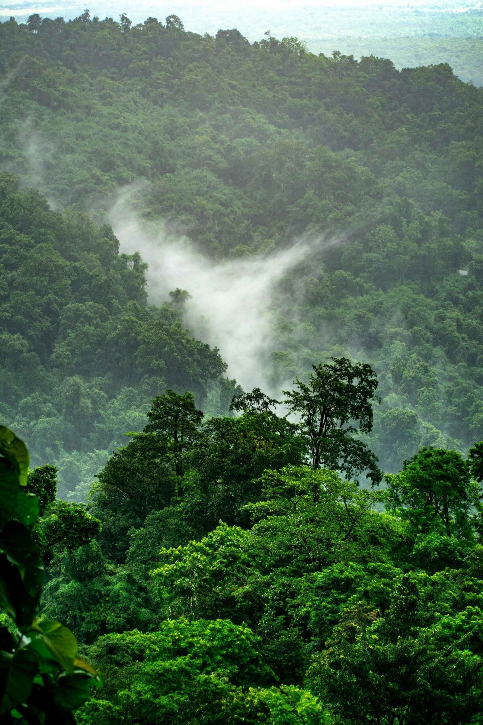 clean nature of wild forest and the water aerial view of mountains and the waterfall from the mountains