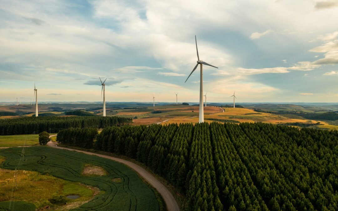 The Future of Green Energy